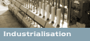 Indutrialisation